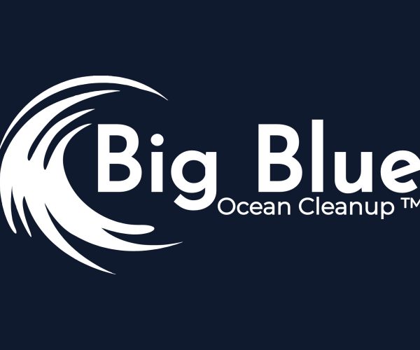 Big Blue Ocean Cleanup